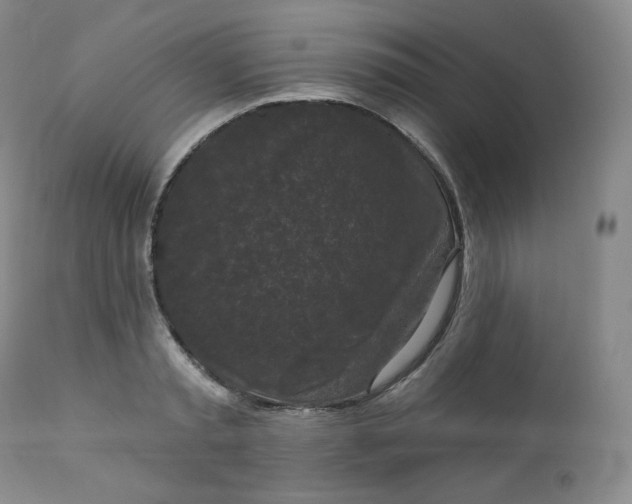 X0000112860797200909041552