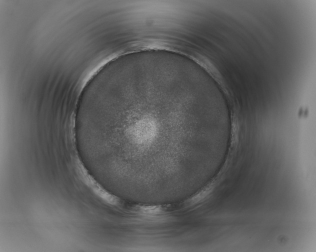 X0000112860798200909041552