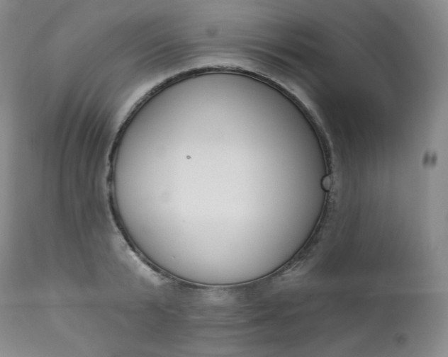 X0000112860799200909041552