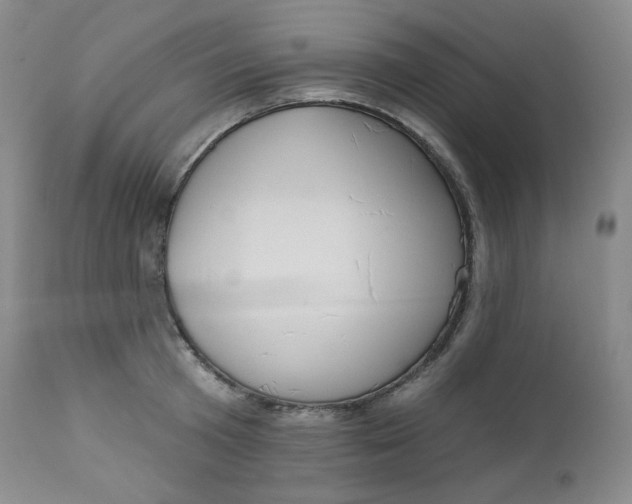 X0000112860801200909041552