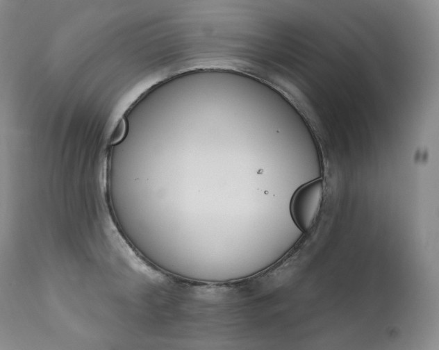 X0000112860804200909041552