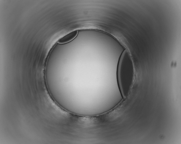 X0000112860805200909041552