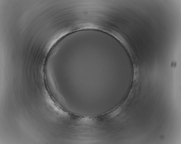 X0000112860806200909041552