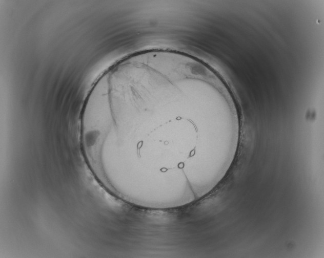 X0000112860807200909041552