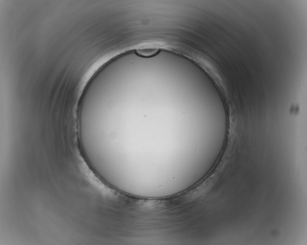 X0000112860808200909041552