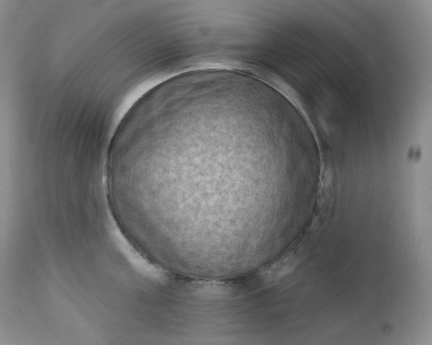 X0000112860811200909041552