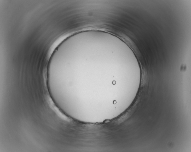 X0000112860812200909041552