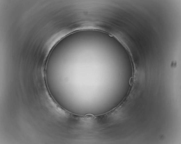 X0000112860813200909041552