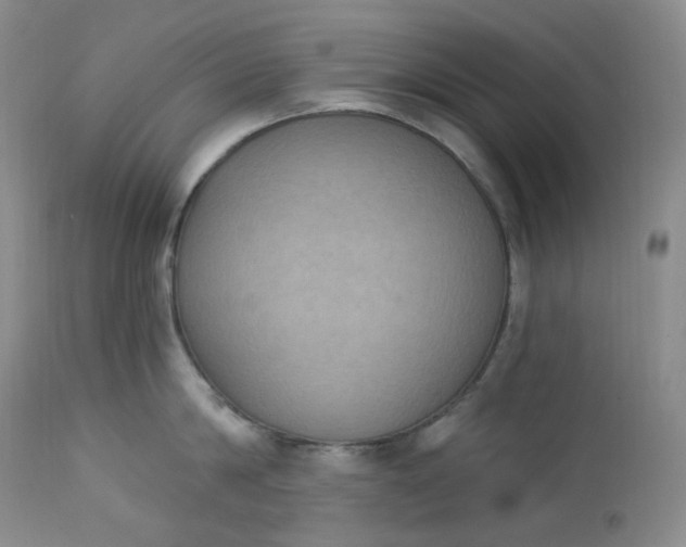 X0000112860814200909041552