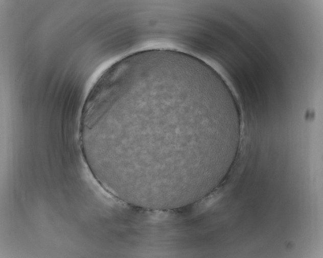 X0000112860815200909041552