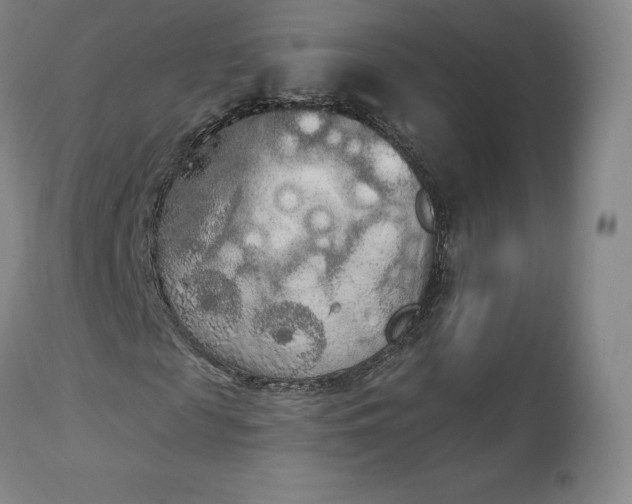 X0000112860817200909041551
