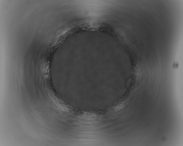 X0000112860818200909041551