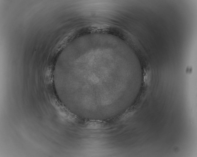 X0000112860819200909041551