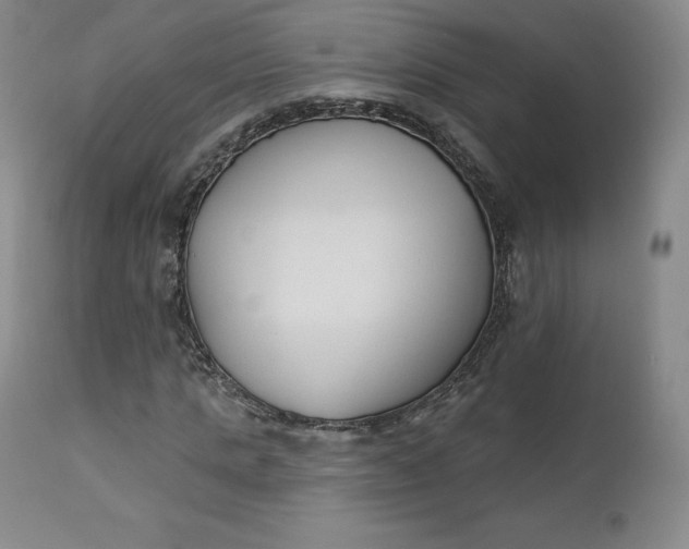 X0000112860821200909041551