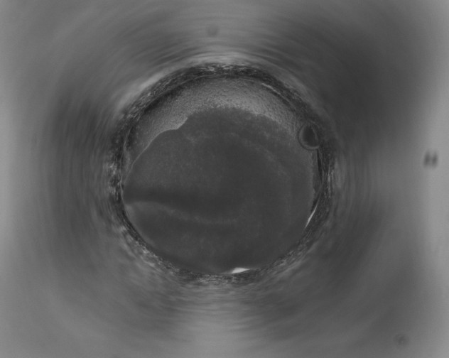 X0000112860822200909041551
