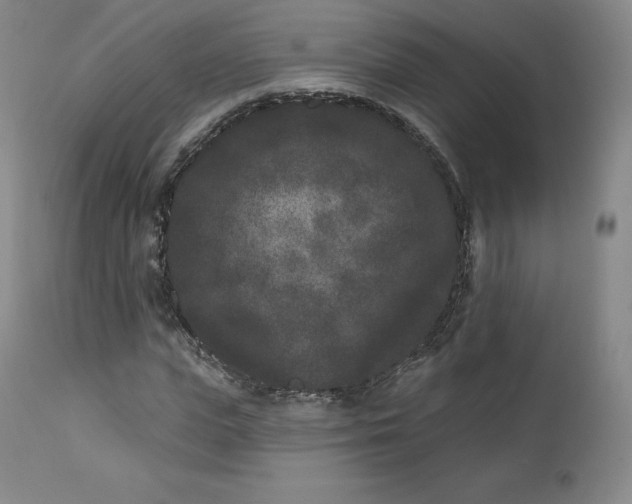 X0000112860823200909041551