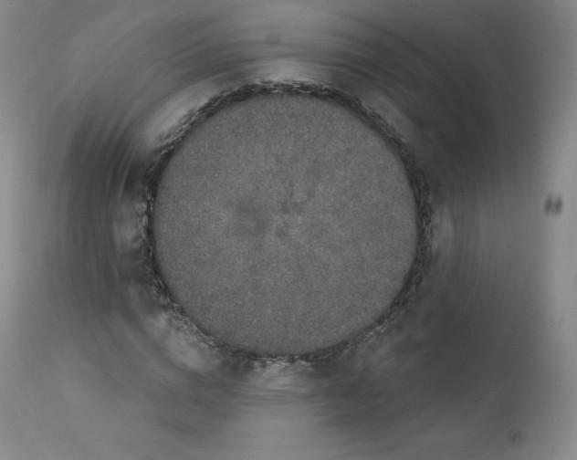 X0000112860824200909041551