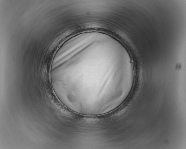 X0000112860825200909041551