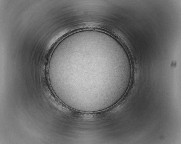 X0000112860827200909041551