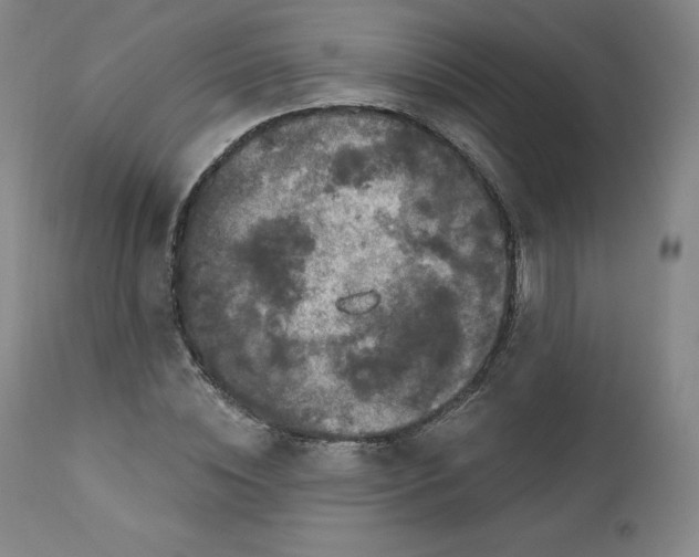 X0000112860828200909041551