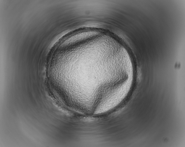 X0000112860829200909041551