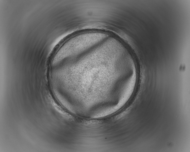 X0000112860830200909041551