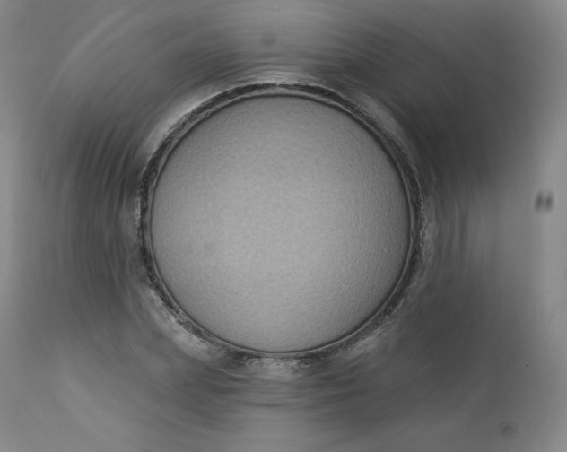 X0000112860831200909041551