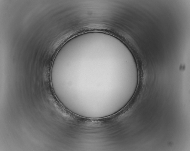 X0000112860833200909041551