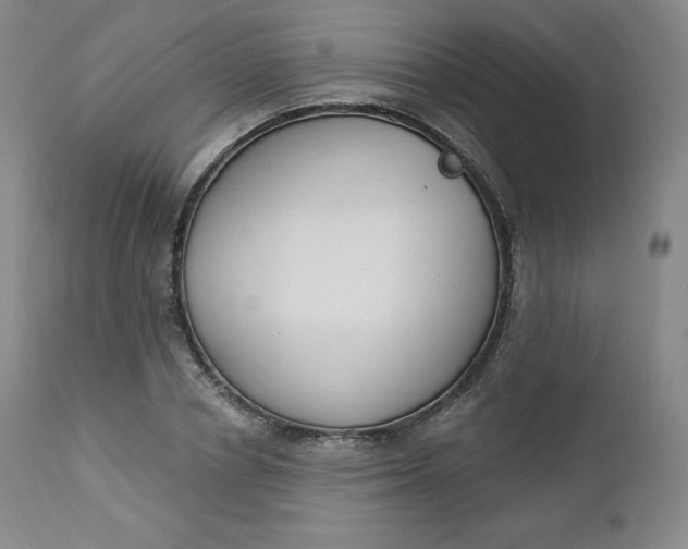 X0000112860834200909041551