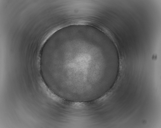 X0000112860835200909041551