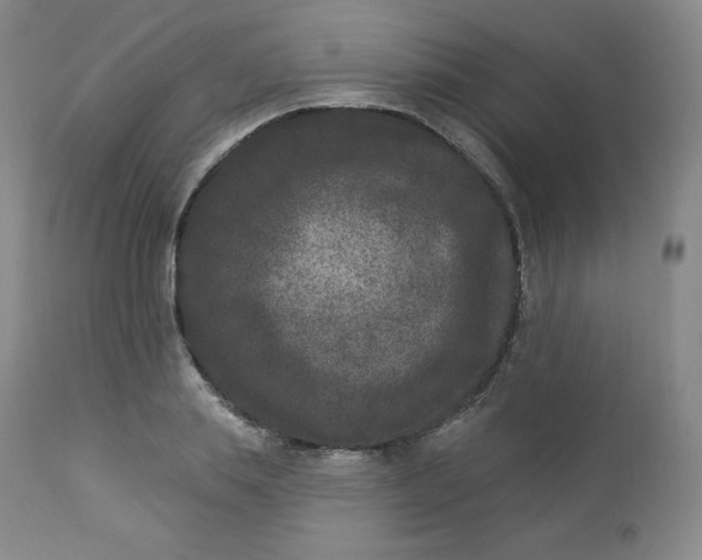 X0000112860839200909041551