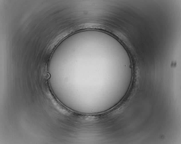 X0000112860841200909041551