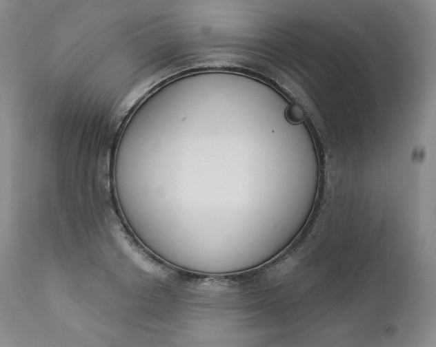 X0000112860842200909041551