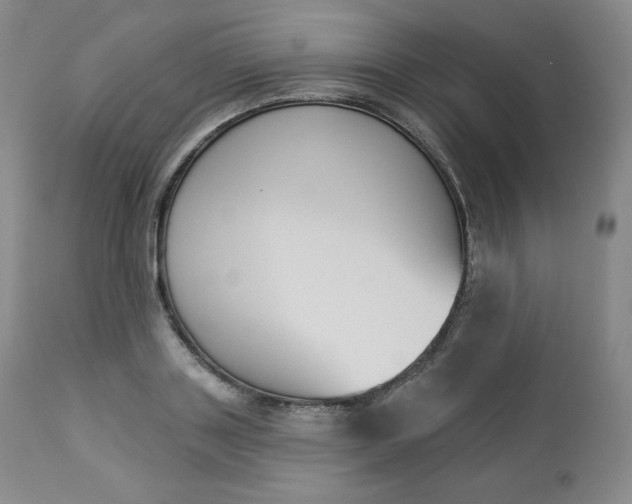 X0000112860843200909041551