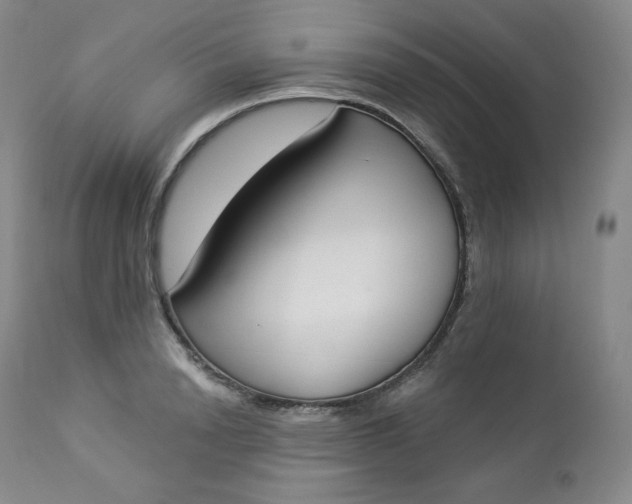 X0000112860846200909041551