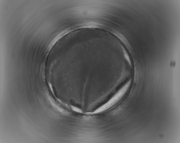 X0000112860850200909041551