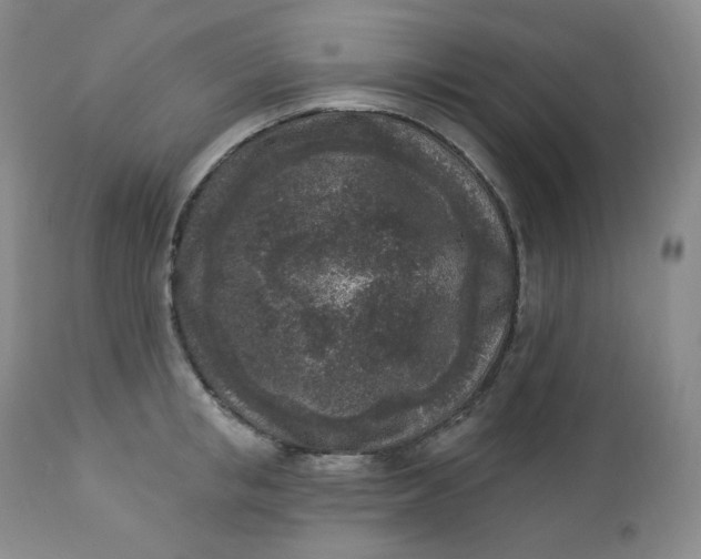 X0000112860853200909041551