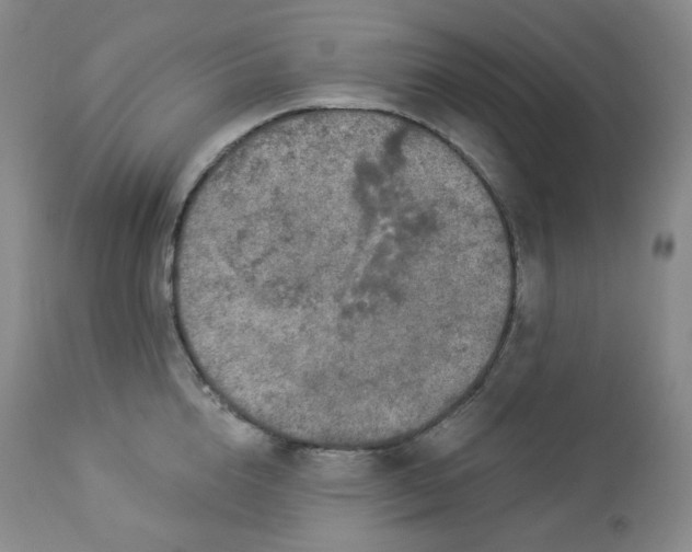 X0000112860856200909041551