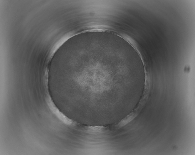 X0000112860859200909041551