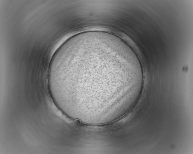 X0000112860860200909041551