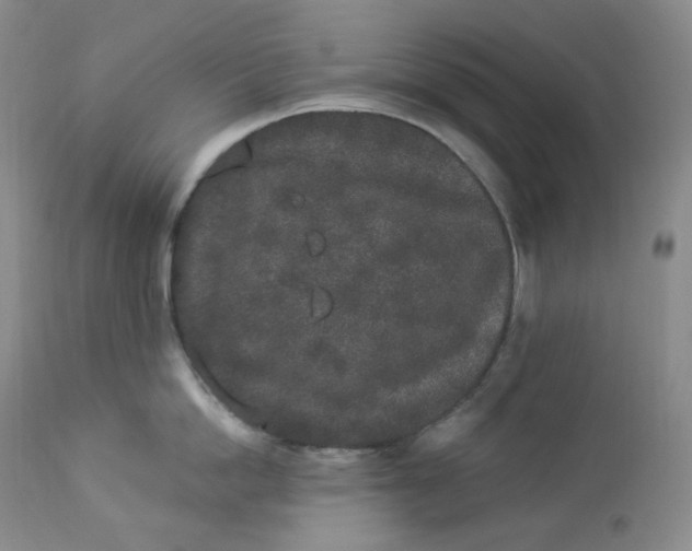 X0000112860862200909041551