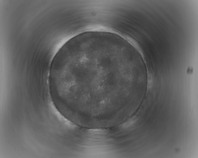 X0000112860863200909041551