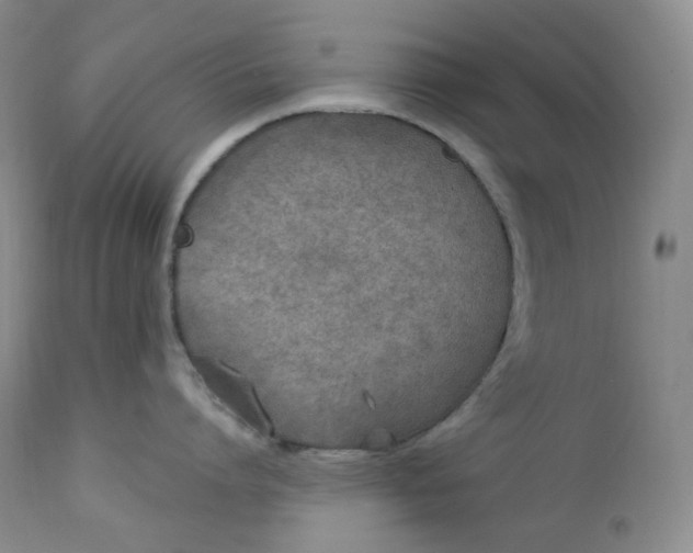 X0000112860864200909041551