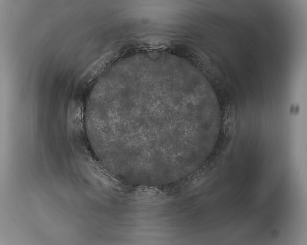 X0000112860866200909041551