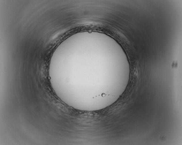 X0000112860869200909041551