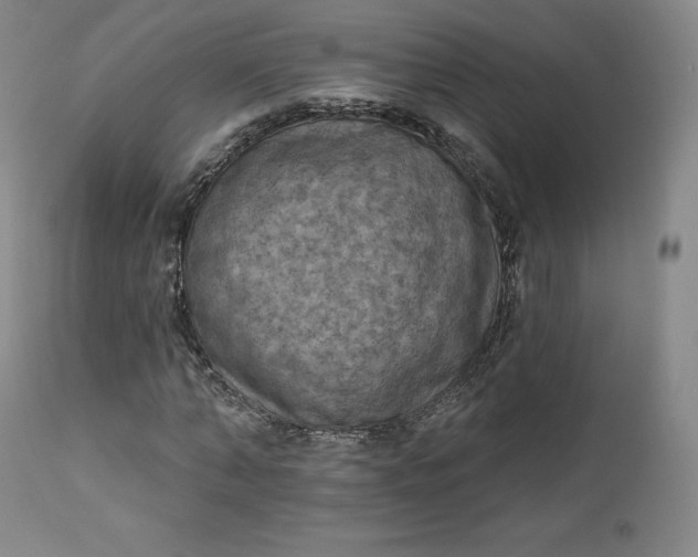 X0000112860870200909041551