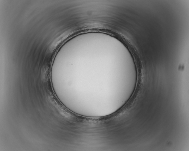 X0000112860873200909041551