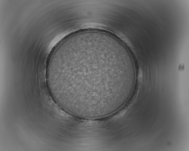 X0000112860877200909041551
