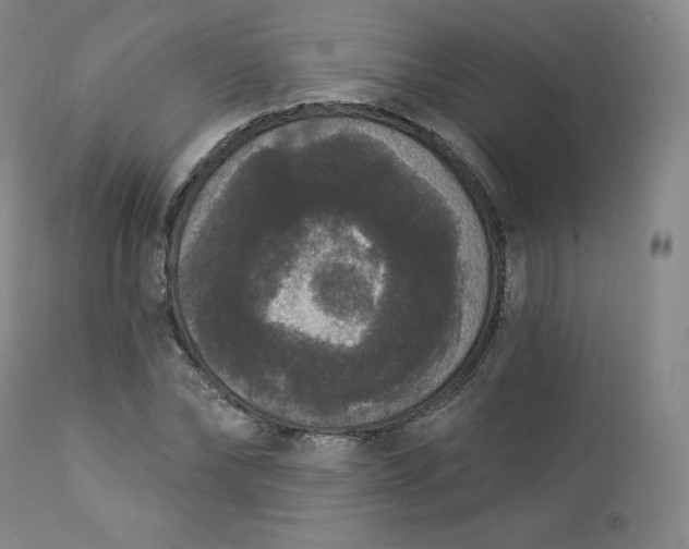 X0000112860878200909041550