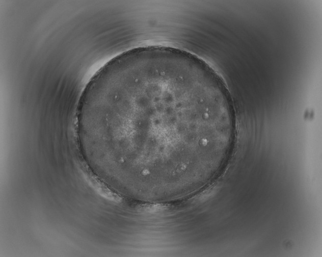 X0000112860879200909041550